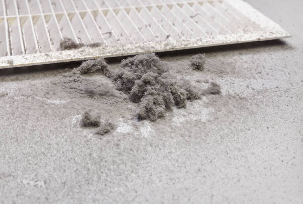 Best HVAC Air Duct Cleaning  in Foreman, AR