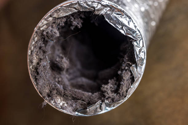 Best Emergency Air Duct Cleaning  in Foreman, AR